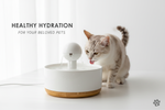 Cat Drinking Habits & How to Choose the Right Water Fountain