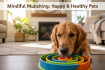 Why Slow Feeder Bowls Are Important for Your Pet's Health