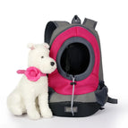 Fuchsia / Large