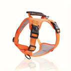 Orange / L