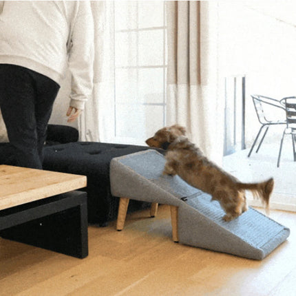 Foldable Dog Ramp & Footstool for Small Dogs and Cats - Anti-Slip with Suction Cup Base