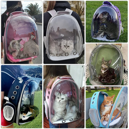 Space Capsule Transparent Pet Carrier Bag - Breathable Bicycle Carrier for Cats & Dogs, 4 Colors