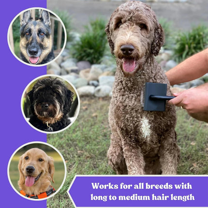 Dog Slicker Brush - Detangle, Demat & Fluff Grooming Comb for Poodles & Doodles