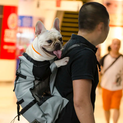 Polyester Breathable Large Dog Carrier Backpack - 1-4kg/4.5-8kg/8.5-15.5kg/16-30kg, Cycling & Travel, Gray/Blue/Red/Black