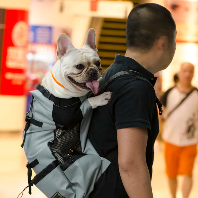 Polyester Breathable Large Dog Carrier Backpack - 1-4kg/4.5-8kg/8.5-15.5kg/16-30kg, Cycling & Travel, Gray/Blue/Red/Black