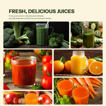 Masticating Juicer Machines, Reemix Cold Press juicer Machine Compact Size, Juice Extractor, Nutrient