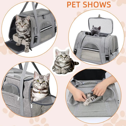 Airline Approved Soft Pet Carrier Bag - up to 20lbs, M/L, with Mat, 5 Colors