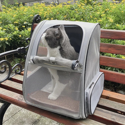 Pet Carrier Backpack with Safety Zippers & Cushion Back - 42x32x38cm, Pink/Gray/Blue/Black