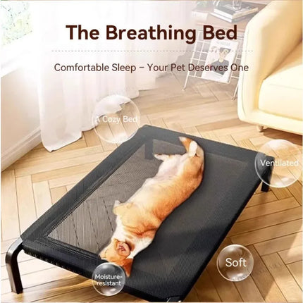 Outdoor Raised Dog Bed - Breathable Mesh Cover, Sturdy Metal Frame, Indoor & Outdoor Use