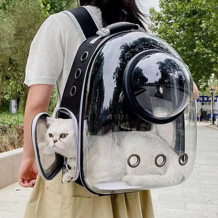 Transparent Space Capsule Pet Backpack - 35x25x42cm, 9 Vents, Side Pocket, Black