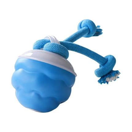 Electronic Motion-Activated Rolling Ball Dog Toy with Rope - USB Rechargeable