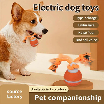 Electronic Motion-Activated Rolling Ball Dog Toy with Rope - USB Rechargeable