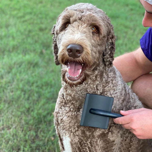 Dog Slicker Brush - Detangle, Demat & Fluff Grooming Comb for Poodles & Doodles