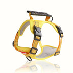 Yellow / XS（old）