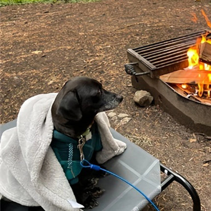Outdoor Portable Elevated Dog Bed - Breathable Nylon Mesh for Camping & Beach, All Pet Sizes