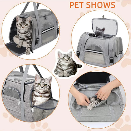 Airline Approved Soft Pet Carrier Bag - up to 20lbs, M/L, with Mat, 5 Colors