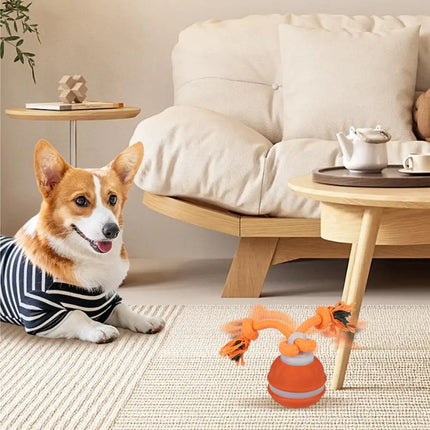 Electronic Motion-Activated Rolling Ball Dog Toy with Rope - USB Rechargeable
