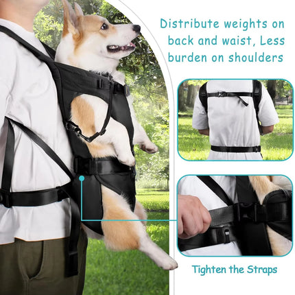 Hands-Free Front Dog Carrier Backpack - Thickened Sponge, Adjustable S/M/L/XL, Black