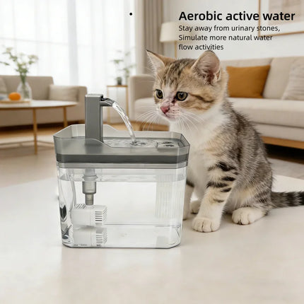1.5L Auto Filter Cat Water Fountain - USB, Quiet Pump, Live Circulation for Cats & Small Dogs
