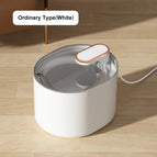 Ordinary Type-White / 3L