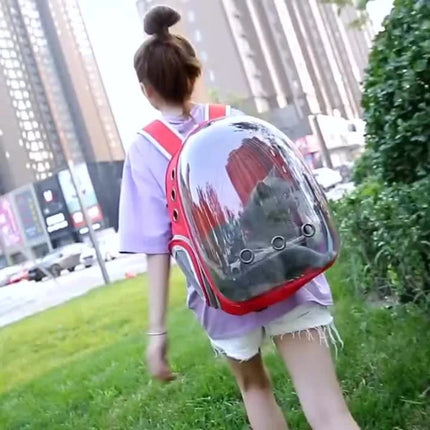 360° Transparent Bubble Cat Backpack Carrier - Spacious, Breathable, Lightweight, Gray/Pink/Black