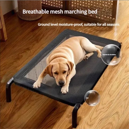 Outdoor Raised Dog Bed - Breathable Mesh Cover, Sturdy Metal Frame, Indoor & Outdoor Use