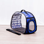 royal blue L