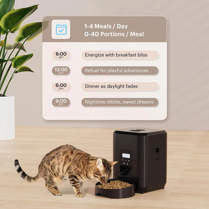 ZYfeeder Smart Automatic Cat Feeder - Button or WiFi, LCD Timer, 50-100g Portions for Cats & Dogs