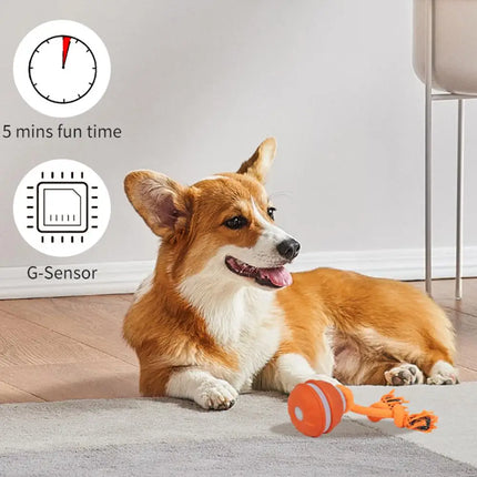 Electronic Motion-Activated Rolling Ball Dog Toy with Rope - USB Rechargeable