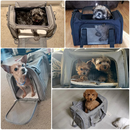 Airline Approved Soft-Side Dog & Cat Carrier Bag - M/L, Waterproof with Fleece Pad