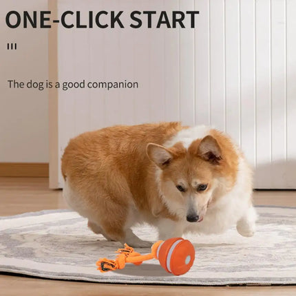 Electronic Motion-Activated Rolling Ball Dog Toy with Rope - USB Rechargeable
