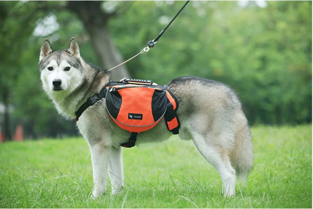 Oxford Dog Self-Carry Saddle Backpack - S(7.5-18kg)/M(18-28kg)/L(28-40kg), Reflective, Orange/Blue/Red/Black