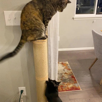 Cat Scratching Post Wall Furniture Wood Wall Mounted Kitten Scratcher Tree Tower Toys Thicker Column for Indoor Cats Accessories