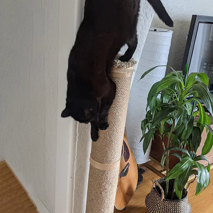 Cat Scratching Post Wall Furniture Wood Wall Mounted Kitten Scratcher Tree Tower Toys Thicker Column for Indoor Cats Accessories